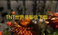 TNT世界最新版下载